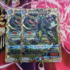 楽識神官 プレジール シークレット シク ②枚 - メルカリ