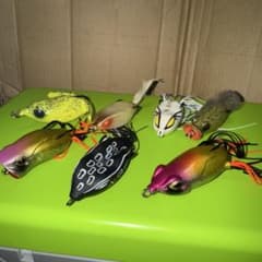 環*認様 フロッグ　セット ７個のサムネイル