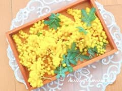 ミモザ 穂先 生花 ドライフラワー 花材 インテリアのサムネイル