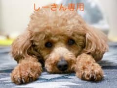 専用のサムネイル