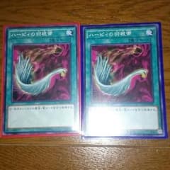 ハーピィの羽根箒2枚組のサムネイル