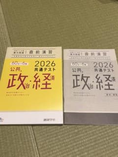 2026共通テスト　公共 政治 経済 テキストのサムネイル