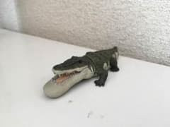シャクレルプラネットワニのサムネイル