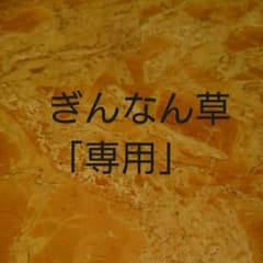 ⚠BABY PINK！さん専用⚠ぎんなん草のサムネイル
