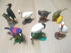 日本の鳥 フィギュア 6種セット 野鳥 模型のサムネイル