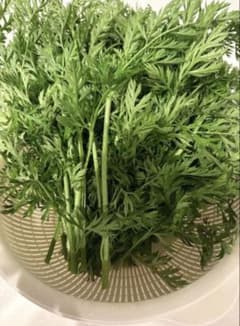 新鮮な人参の葉 無農薬化学肥料・除草剤不使用のサムネイル