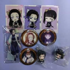鬼滅の刃／胡蝶姉妹 グッズセット - メルカリ
