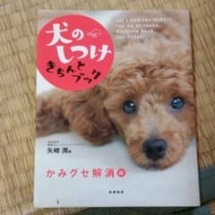犬のしつけきちんとブック 「かみグセ解消」編のサムネイル