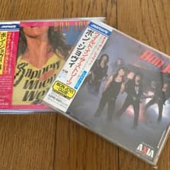 専用出品！　bonjovi     ワイルド・イン・ザ・ストリーツ　2枚セットのサムネイル