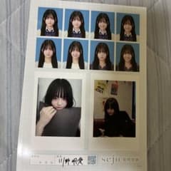 めいあせじゅ写真大のサムネイル