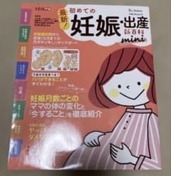 最新！初めての妊娠・出産新百科miniのサムネイル