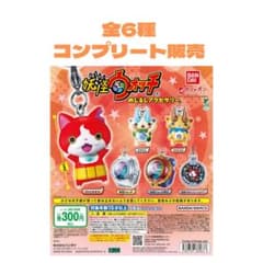 妖怪ウォッチ めじるしアクセサリーコンプリートセットのサムネイル