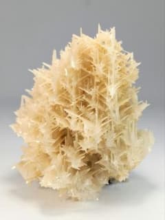 セルサイト スノーフレーク イラン産 鉱物標本 セルサイト スノーフレーク イラン産 鉱物標本 - メルカリ