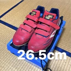 ナイト様専用 スパイク バッティンググローブのサムネイル