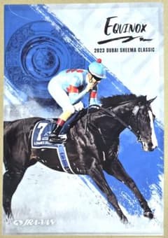 イクイノックス 2023 ドバイシーマクラシック クリアファイル 新品 JRA
