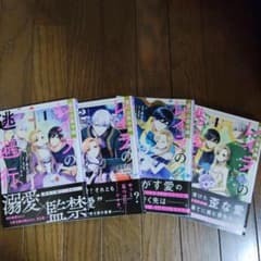 傷心公爵令嬢レイラの逃避行1-4