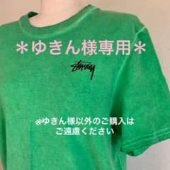 【お値下げしました！】ステューシー Tシャツ ワンピース グリーン ロゴのサムネイル