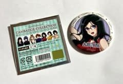 響け！ユーフォニアム 卒業生 田中あすか 缶バッジ アクリルスタンド 響け！ユーフォニアム 卒業生 田中あすか 缶バッジ アクリルスタンド