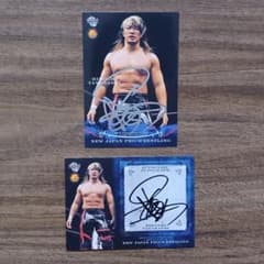 BBM プロレスカード 棚橋弘至 直筆サインカード 新日本プロレス 2009