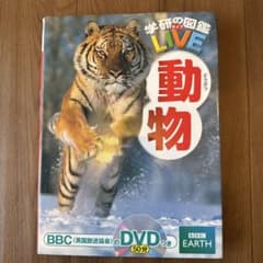 動物図鑑 BBC DVD付きのサムネイル