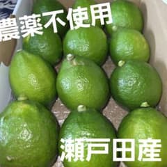 広島県瀬戸田産　グリーンレモン　農薬不使用のサムネイル