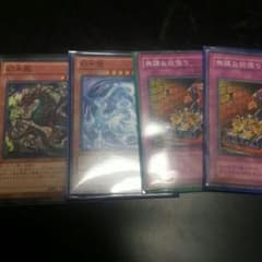 遊戯王 幻水龍 幻木龍 無謀な欲張り2枚 セットのサムネイル
