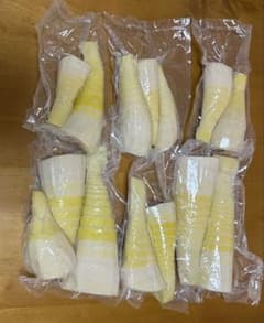 京都山城産　朝掘り筍のサムネイル