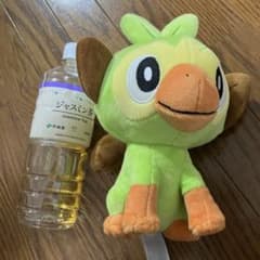 ポケモン　サルノリ　ぬいぐるみのサムネイル