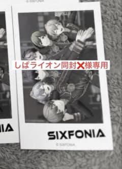 （しばライオン同封❌様専用）シクフォニ　チェキ風カード第3弾（集合）のサムネイル