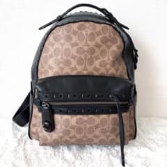 完売モデル✨️COACH シグネチャー キャンバス ウィップスティッチ