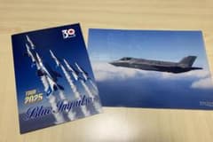 ブルーインパルス 2025ツアーパンフレット+クリアファイル セット
