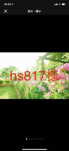 hs817様のサムネイル