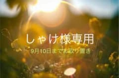 しゃけ様専用ページ【9月10日までお取り置き】のサムネイル