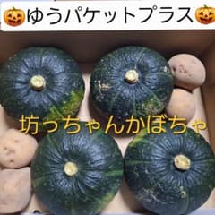 北海道産　坊ちゃんかぼちゃゆうパケットプラスサイズ　送料込のサムネイル