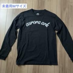 BUMP OF CHICKEN aurora ark 黒ロンT 長袖 M グッズのサムネイル