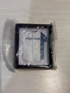 NPB ユニフォームフレームマグネット パリーグ 北海道日本ハムファイターズのサムネイル