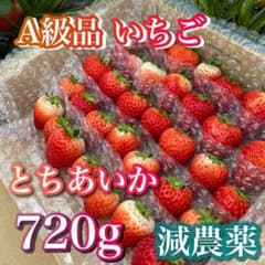 A級品 とちあいか いちご 720g ケーキ　農家直送　クリスマス　朝摘み A級品 とちあいか いちご 720g ケーキ 農家直送 クリスマス 朝摘み