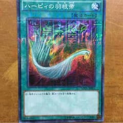 (売約済み)ハーピィの羽箒のサムネイル