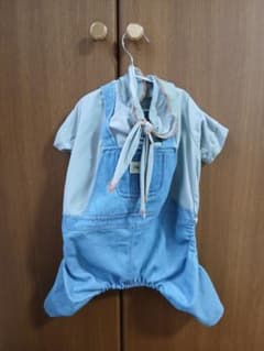 シルバーウイークセール中！犬服　女の子のサムネイル