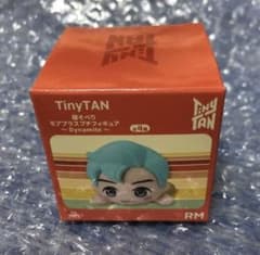 TinyTAN 잠자는 모베 플러스 쁘띠 피규어 ~dynamite~ RM