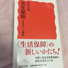 共生保障 〈支え合い〉の戦略/宮本 太郎のサムネイル