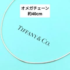 티파니 오메가 체인 초커 목걸이 40cm 실버 925