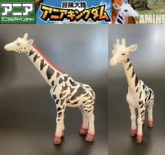 希少レア！限定！ 廃版！アニア冒険大陸アニアキングダム アミン/アミメキリン