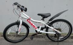 GIANT Snap 子供用自転車 20インチ 愛知県名古屋市緑区 引き渡し