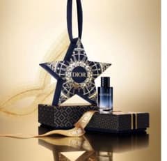 Dior ソヴァージュ スター オーナメントのサムネイル