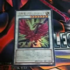 遊戯王 月華竜ブラックローズのサムネイル