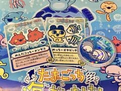江ノ島水族館　たまごっち　ステッカーとホログラム缶バッジ　まめっち　めんだこっちのサムネイル