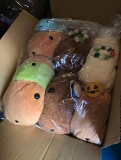 カピバラさんぬいぐるみ各種 8体のサムネイル