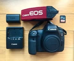 Canon EOS 6Dのサムネイル