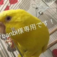 banbi様専用のサムネイル